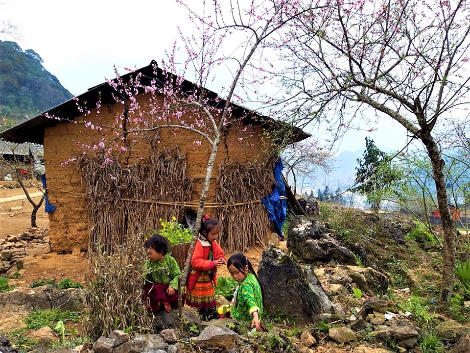 Hoa tháng 3 đậm sắc hương núi rừng giữa trời Hà Giang