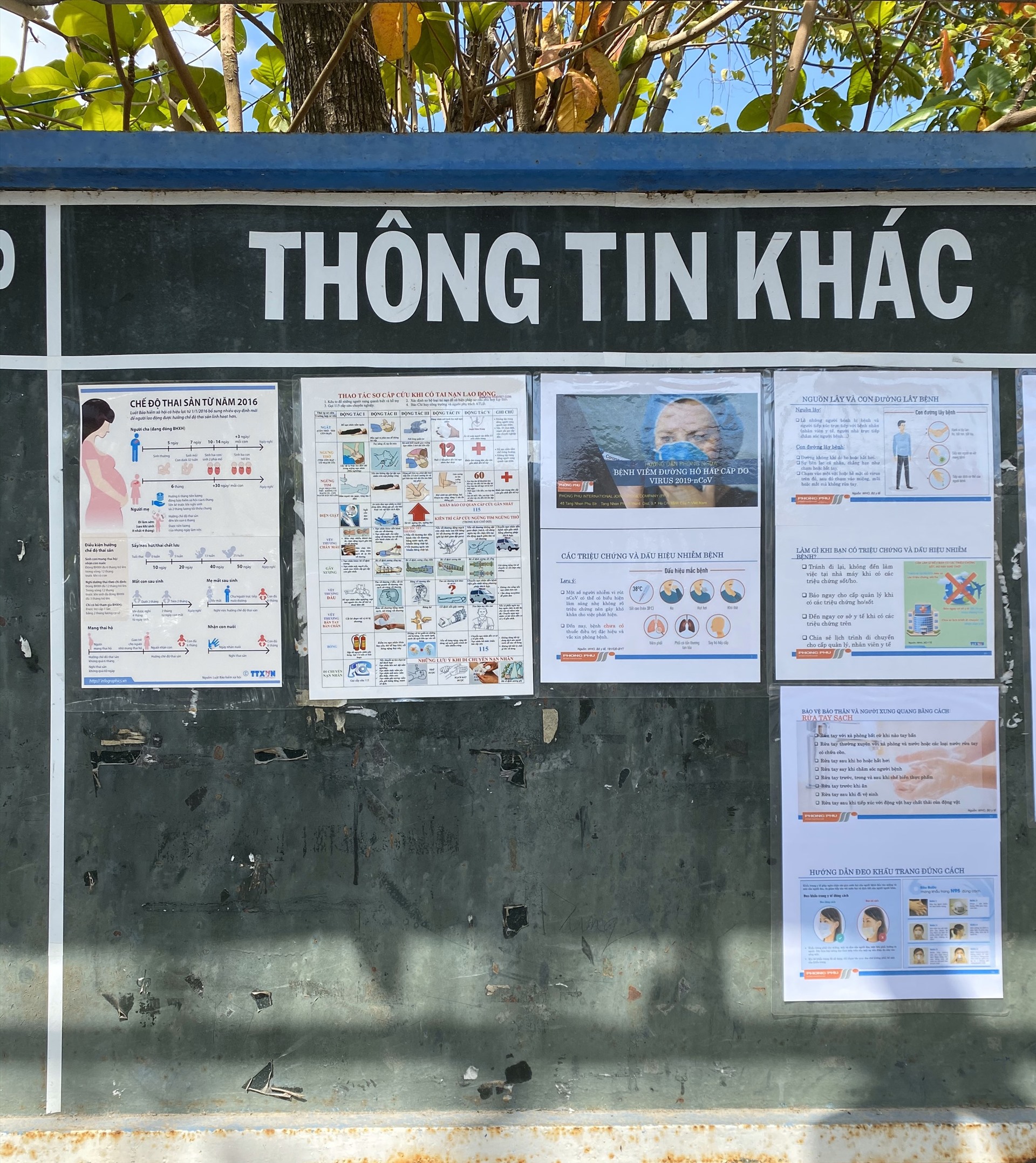 Bảng thông tin về phòng, chống dịch COVID - 19 được dán tại bảng thông tin Công ty. Ảnh: CĐ DM