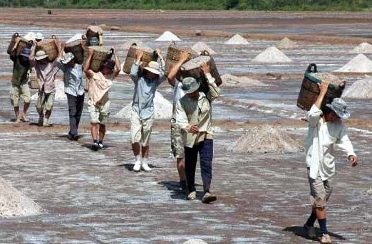 Trúng mùa, được giá diêm dân tranh thủ thu hoạch muối (ảnh Nhật Hồ)