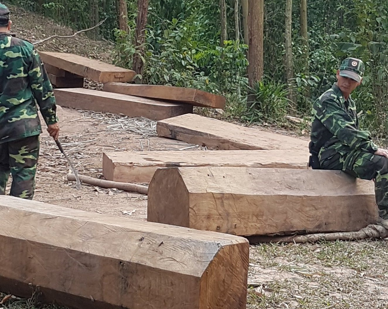 Gỗ lậu được phát hiện. Ảnh: BP.
