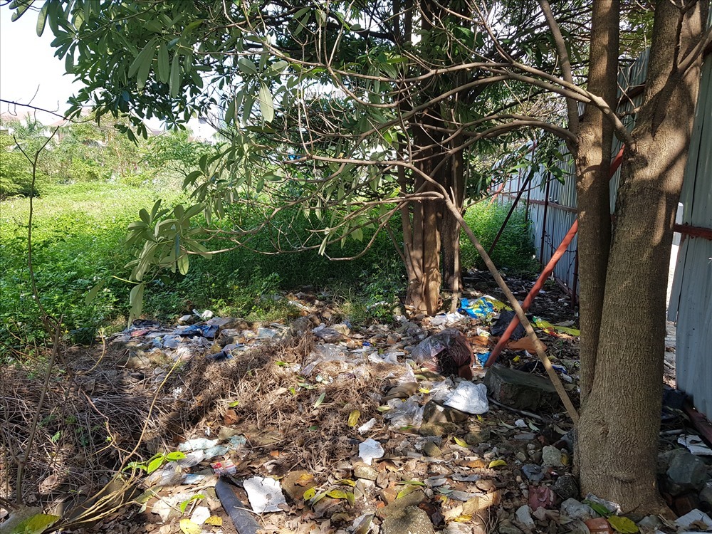 Khu đất “kim cương” cỏ dại mọc um tùm, nhiều nơi dân đổ rác tràn lan. Ảnh: QĐ