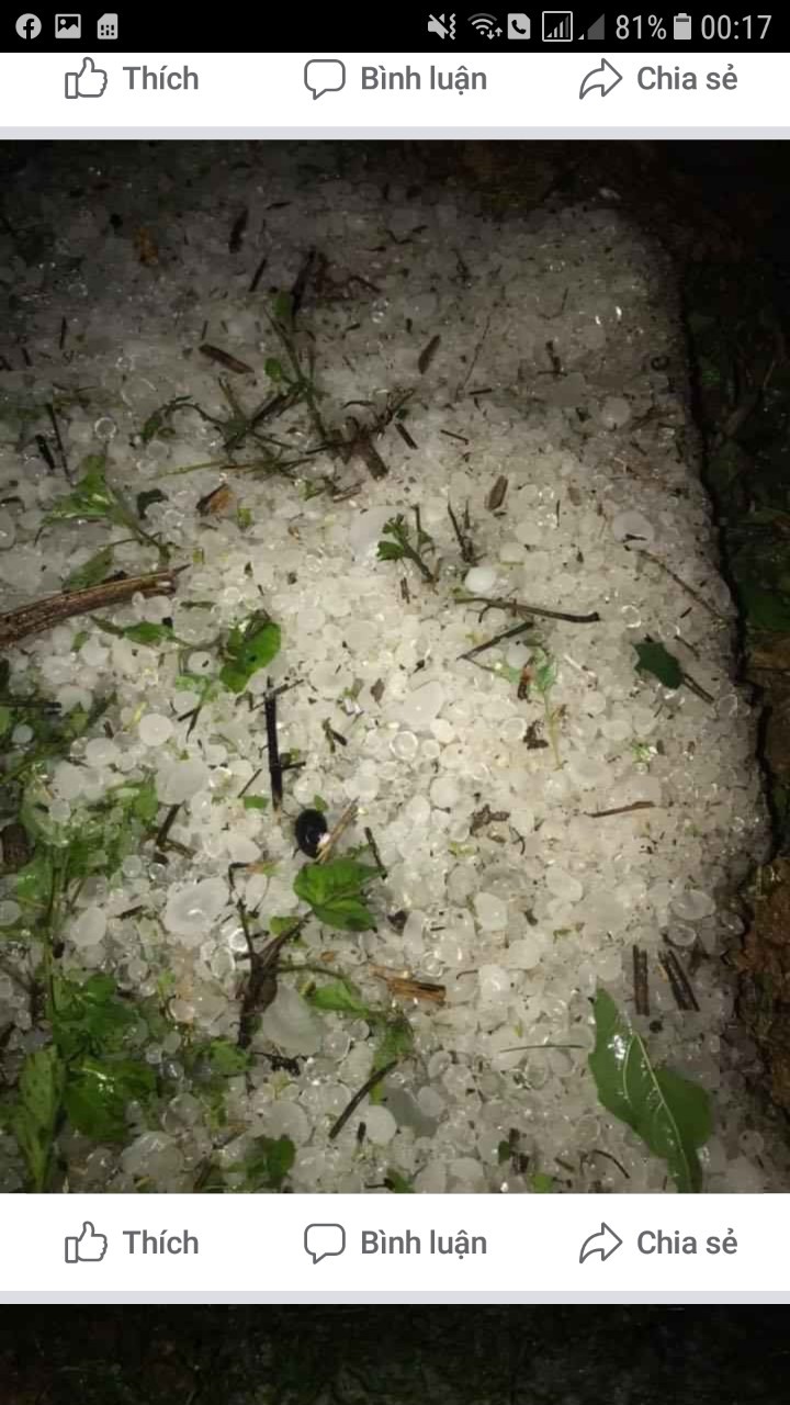 Mưa đá do người dân gom trong đêm.