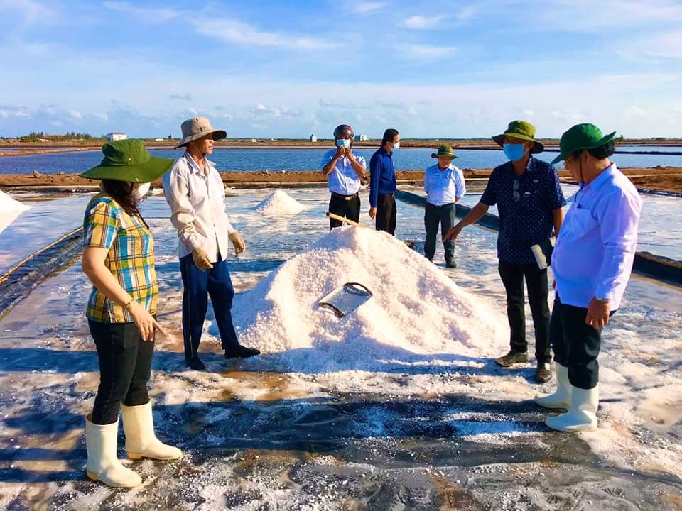 Dù muối được mùa, trúng giá, nhưng Bạc Liêu không khuyến khích diêm dân mở rộng diện tích. Trong ảnh lãnh đạo tỉnh Bạc Liêu kiểm tra sản xuất muối tại huyện Đông Hải, Bạc Liêu (ảnh Phan Thanh Cường)