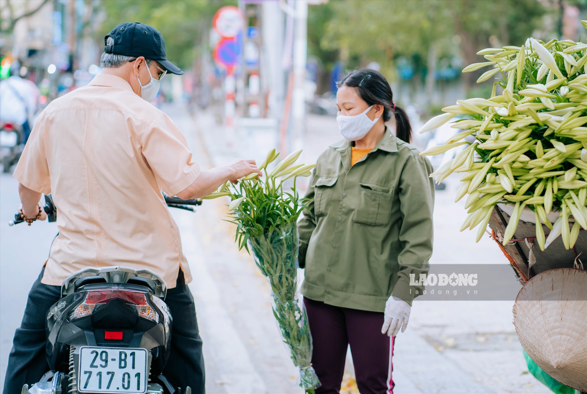 Chạy xe qua các tuyến đường như Thụy Khuê, Phan Đình Phùng, Láng Hạ, Thanh Niên,… khó ai có thể kìm lòng trước vẻ đẹp tinh khôi, mùi hương dịu nhẹ của loa kèn. Người vội vàng đến mấy cũng sẵn lòng dừng chân ghé lại những gánh hoa ven đường để chọn mua vài cành loa kèn đầu mùa thật đẹp.