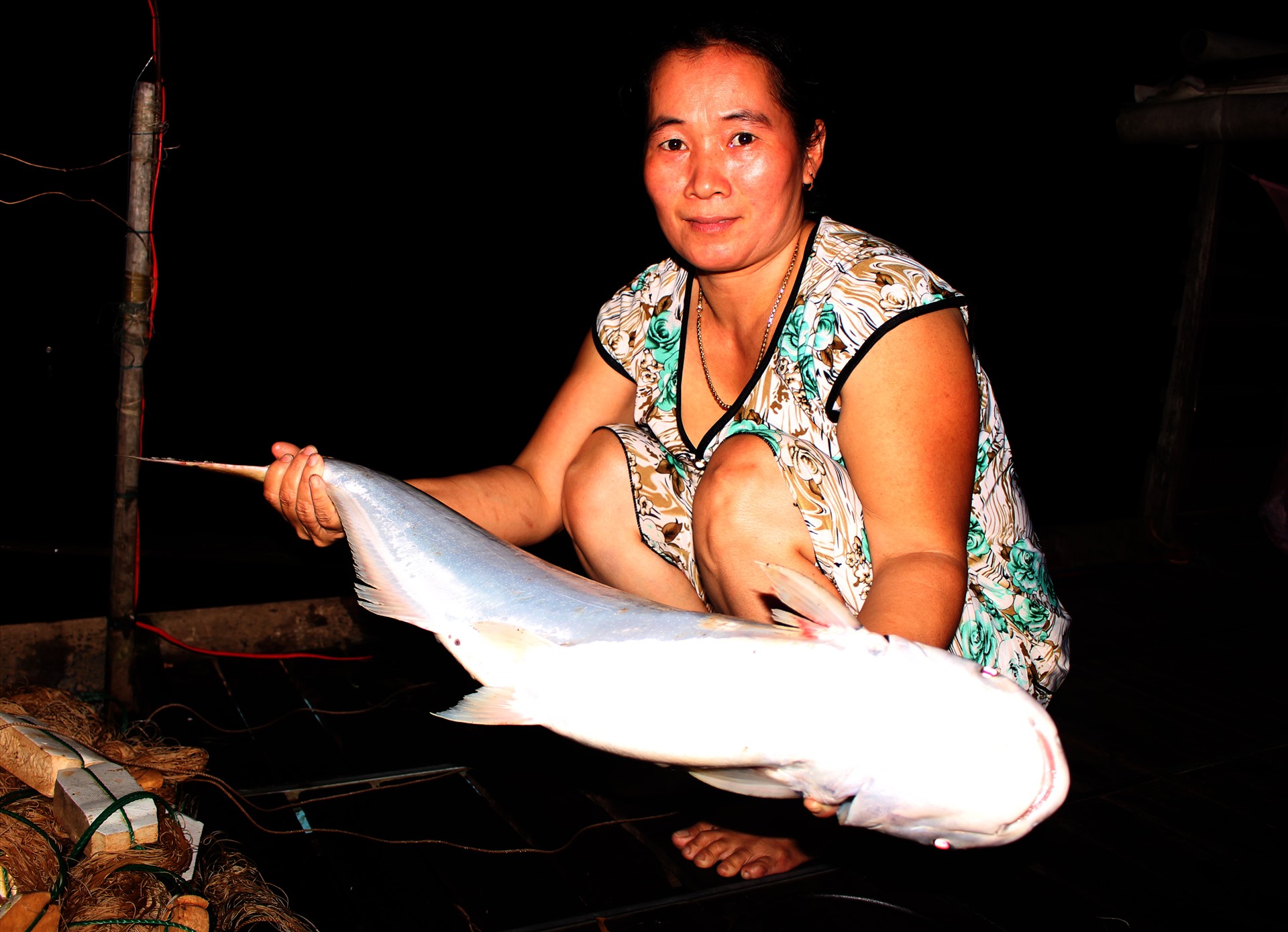 Cá bông Lau, nếu là con to có thể nặng trên 10kg.