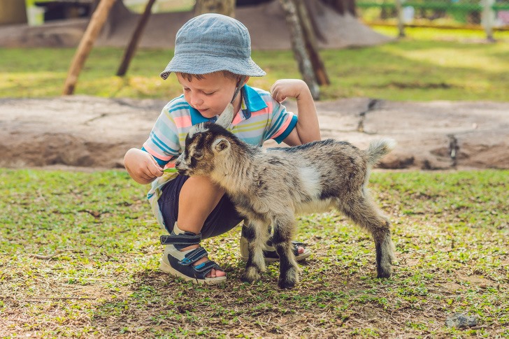 5. Tránh tiếp xúc với động vật hoang dã hoặc trang trại.  Nhiều loài động vật có thể mang mầm bệnh gây hại có thể gây ra nhiều loại bệnh ở người. Được biết đến như từ động vật sang bệnh , họ có thể lây lan bằng cảm ứng, cắn, hoặc thậm chí bằng cách sống ở cùng khu vực với một con vật. Động vật trang trại, cũng như động vật hoang dã, có thể gây nguy hiểm cho con người, đặc biệt là trong một trận dịch. Bất cứ khi nào có thể, tránh những động vật này. Nếu việc tiếp xúc với chúng là không thể tránh khỏi, tốt nhất bạn nên rửa và vệ sinh tay sau khi tiếp xúc với chúng, đồ dùng của chúng hoặc khu vực chúng sống.