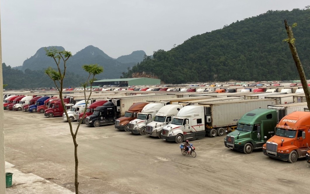 Để tránh ùn ứ hàng nông sản tại cửa khẩu, Bộ Công thương yêu cầu chủ động cập nhật các thông tin về XNK tại khu vực biên giới. Ảnh CTV Như Nguyệt.