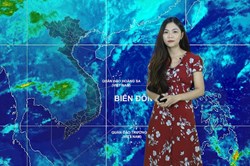 Bản tin Dự báo thời tiết mới nhất đêm nay và ngày mai 11.4