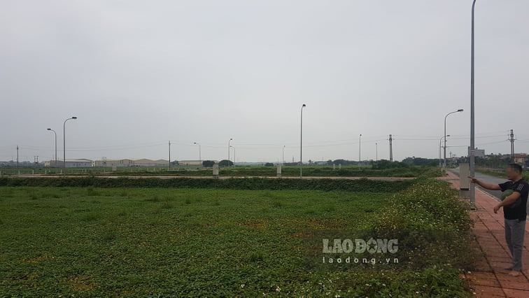 Khu đất trúng thầu của vợ chồng Đường “Nhuệ“. Ảnh: Việt Dũng