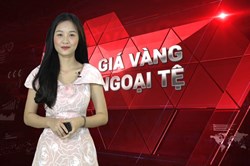 Giá vàng và giá ngoại tệ hôm nay 2.4: Vàng neo cao, USD được đà tăng