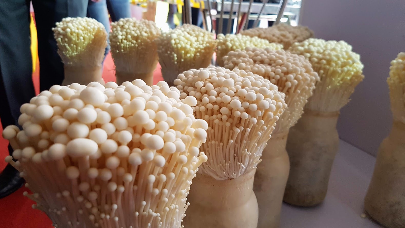 Nông sản an toàn tham gia hội chợ trong nước. Ảnh: Khánh Vũ