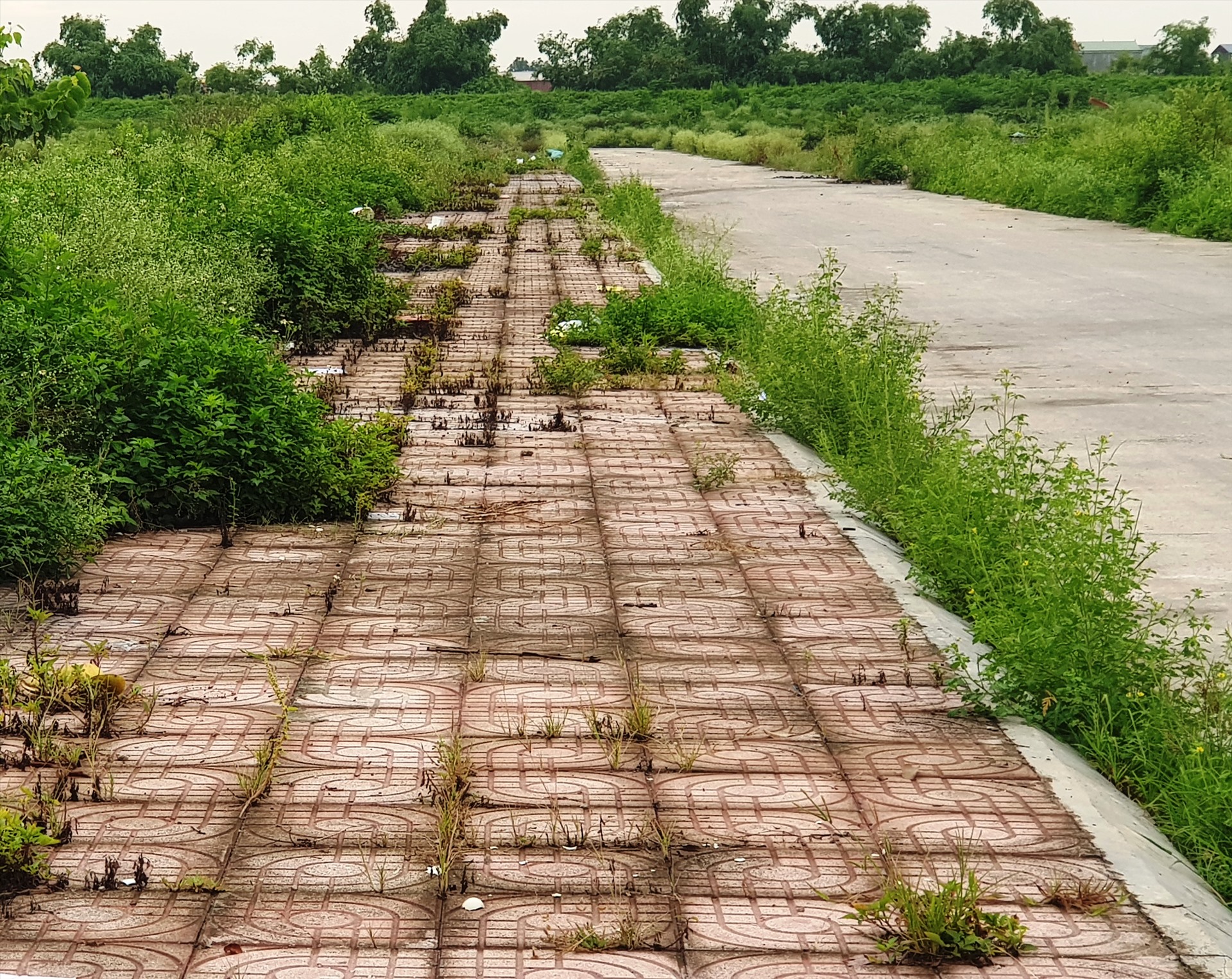 Nhiều hạng mục như đường giao thông, vẻ hè, cống thoát nước đã xuống cấp nghiêm trọng. Ảnh: NT