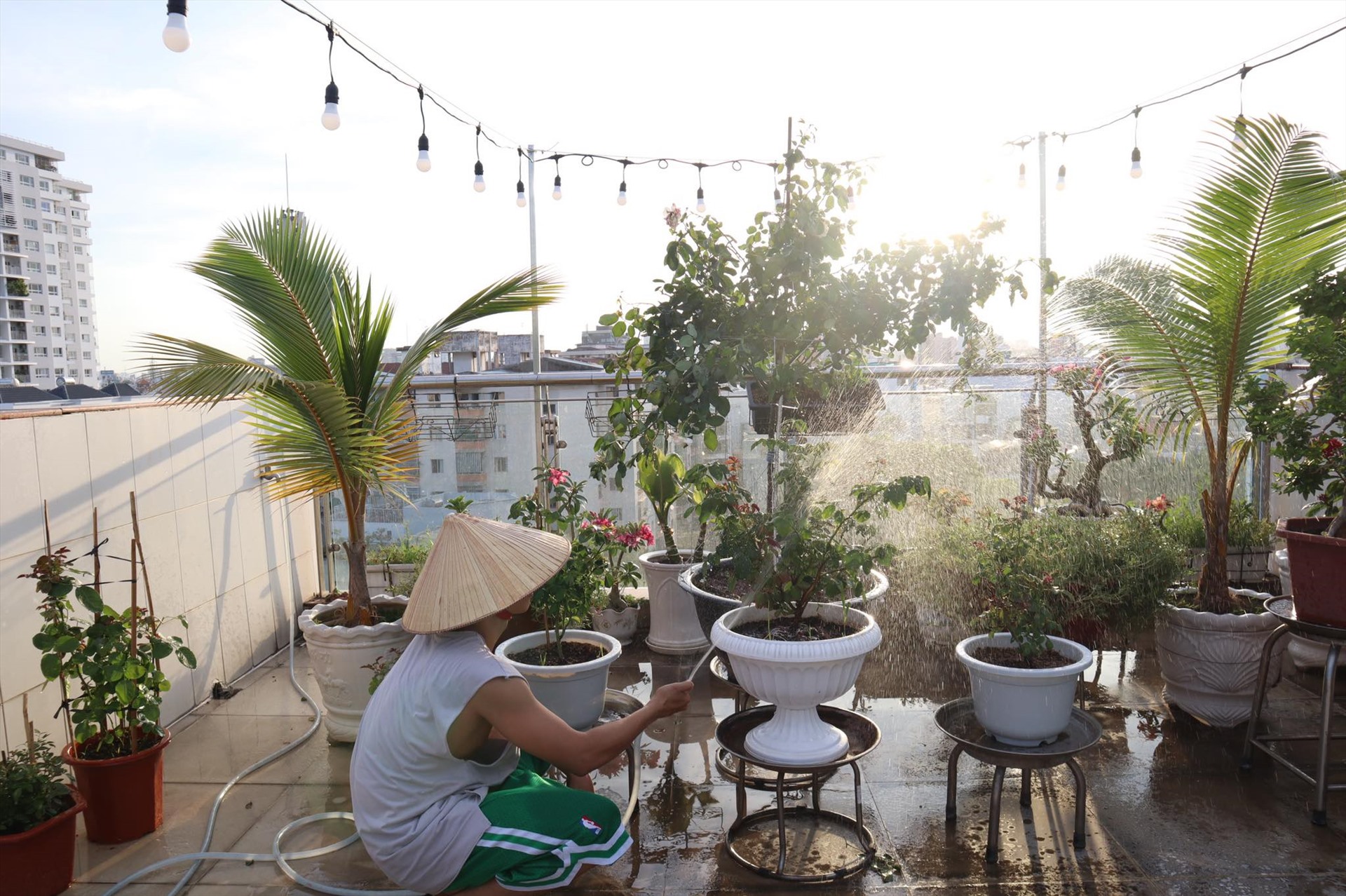 Anh tự tay chăm sóc từng khóm hoa với mong muốn sẽ tạo nên một không gian