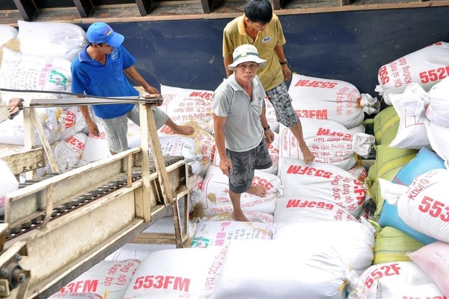 Gạo còn tồn đọng tại ĐBSCL chưa xuất khẩu được. Ảnh: Trần Lưu