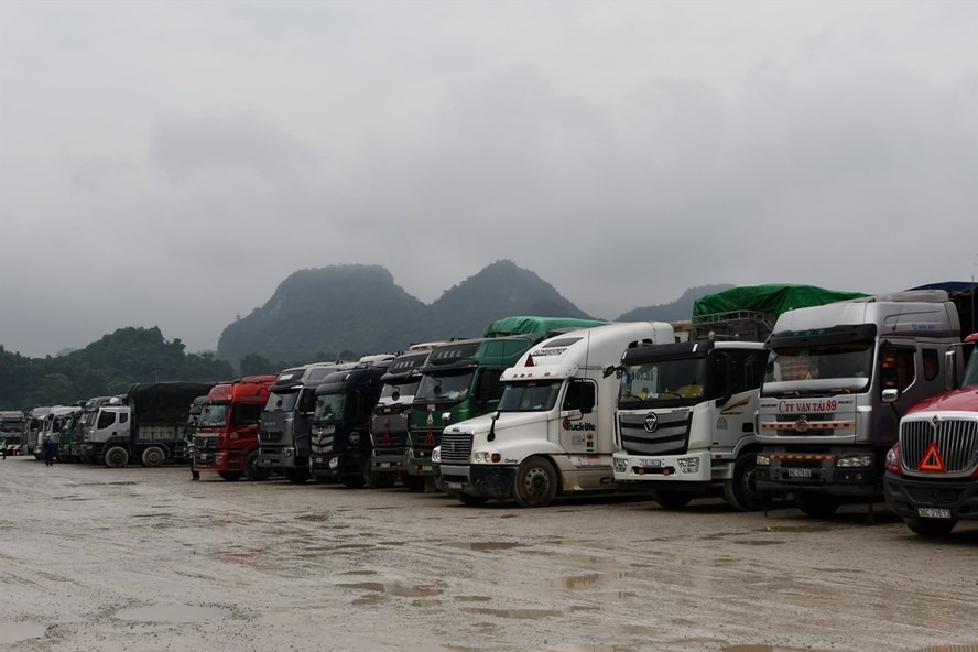 Xe chở hàng ùn ứ tại cửa khẩu. Ảnh: Văn Giang