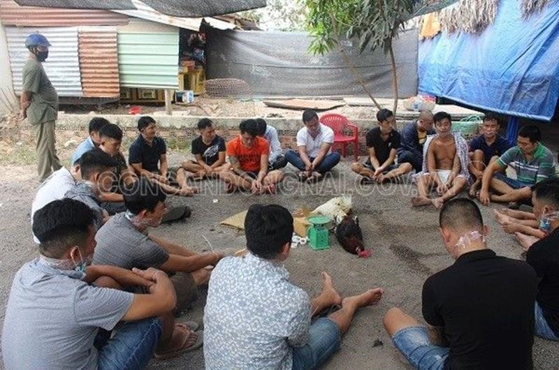 Các đối tượng đá gà ăn tiền bị lực lượng công an khống chế bắt tại trận. Ảnh: Công an cung cấp