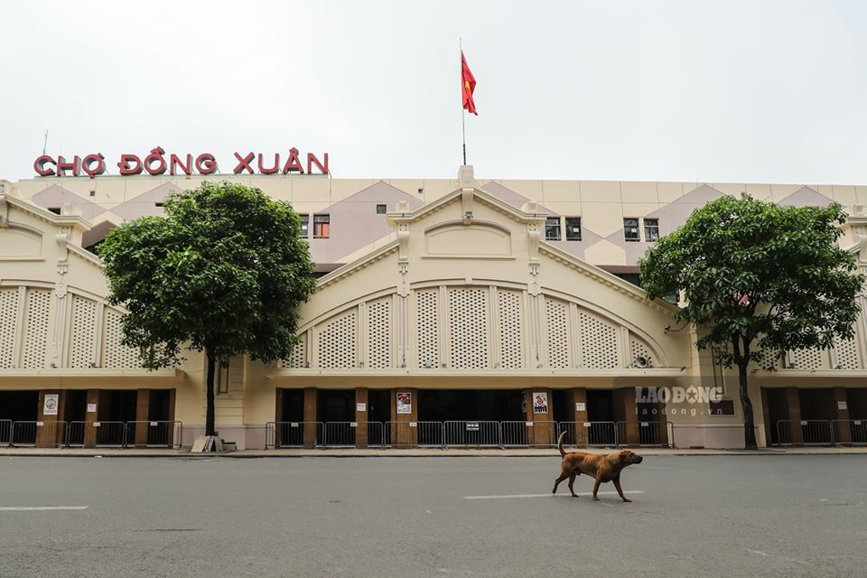 Dân không ra đường, Hà Nội không còn cảnh kẹt xe. Ảnh: Sơn Tùng