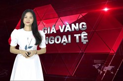 Giá vàng và giá ngoại tệ hôm nay 9.4: Vàng đi ngang, USD neo cao