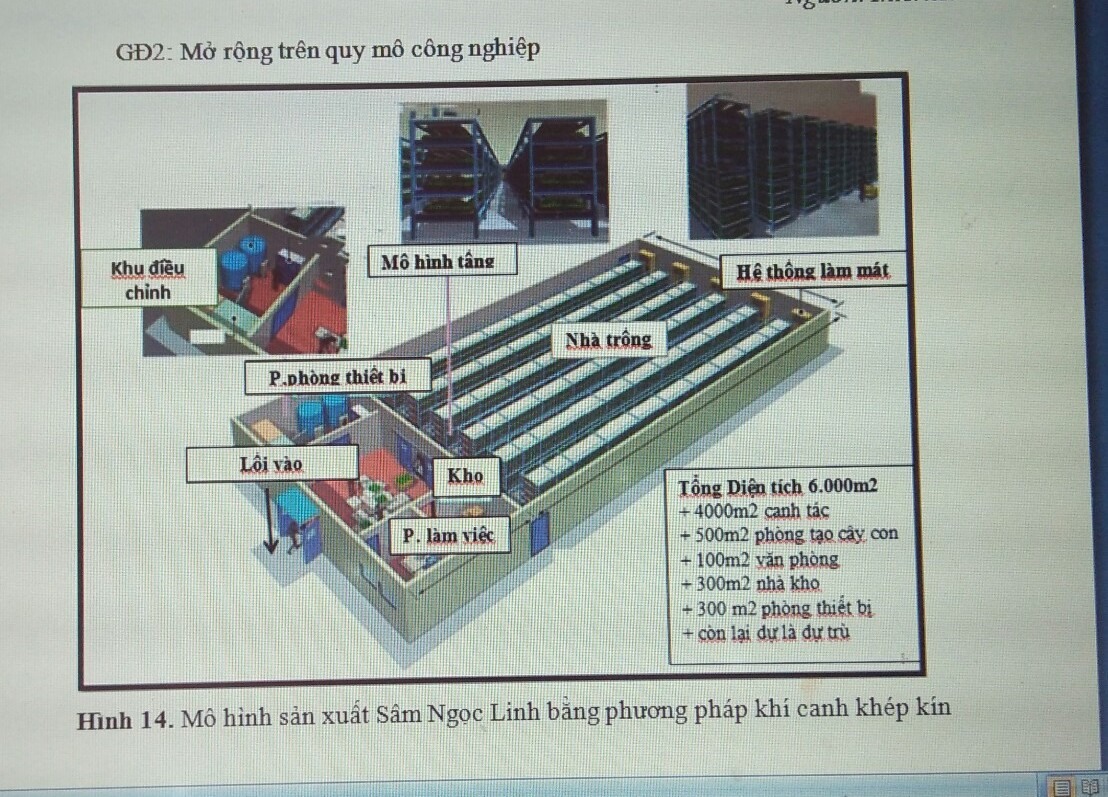 Đề tài “Dược liệu 4.0 trồng nhân sâm trên quy mô công nghiệp” cảu nhóm được sự quan tâm của giới chuyên môn. Ảnh: Minh Khang