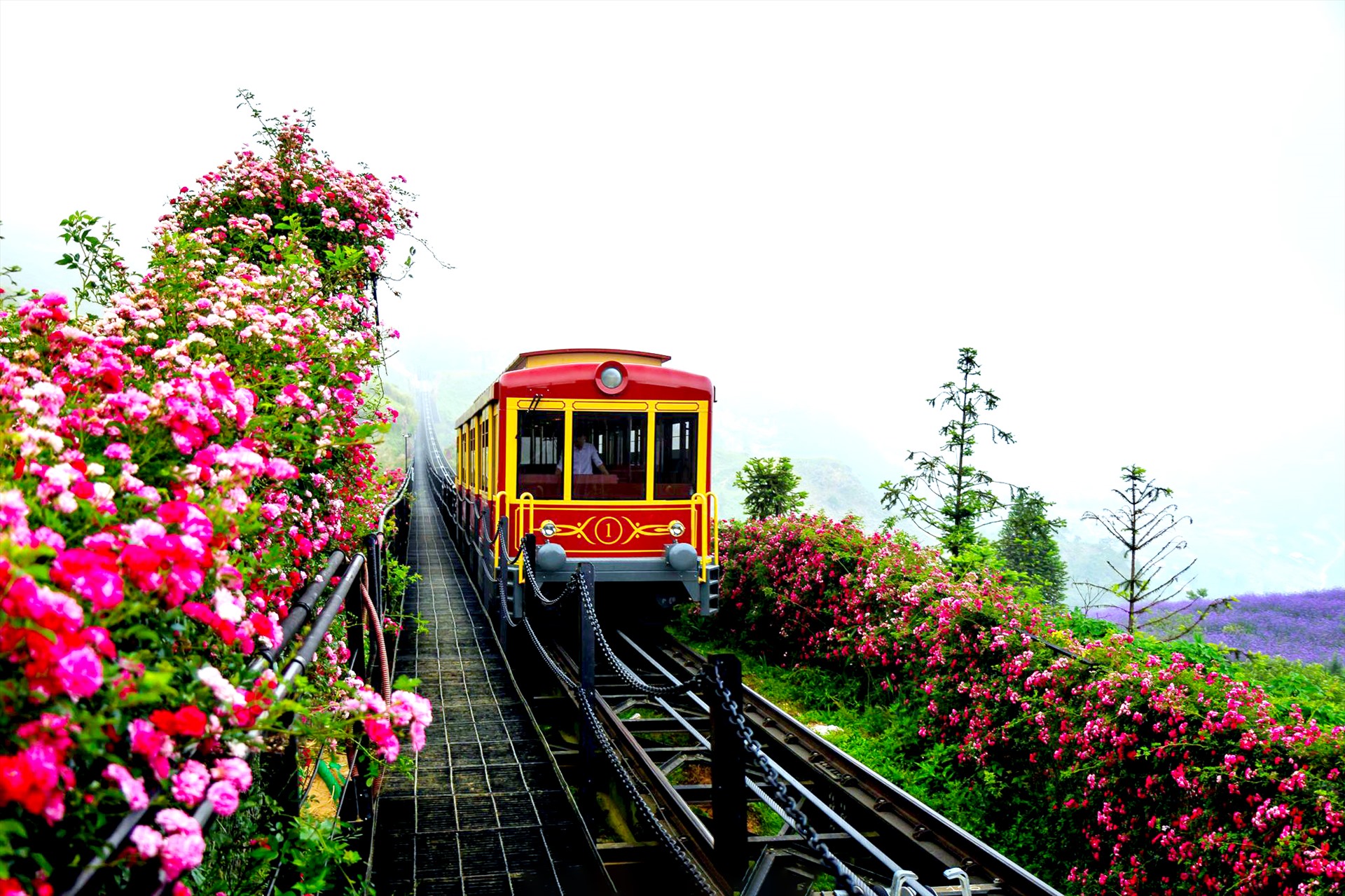 Tàu hỏa leo núi Mường Hoa
