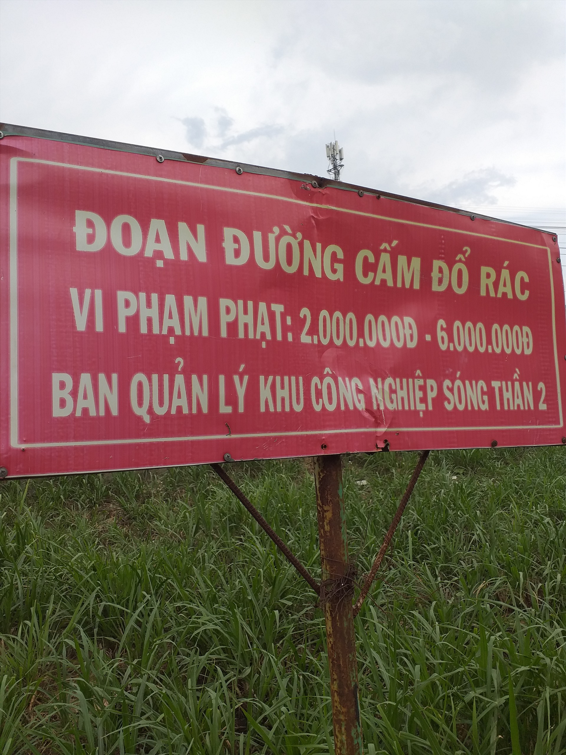 Tấm biển cấm đổ rác dựng lên nhưng không có tác dụng. Ảnh: Nguyễn Long