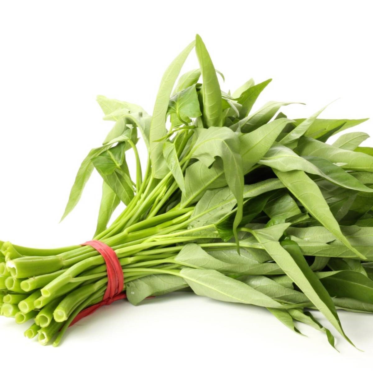 Ảnh Gocer