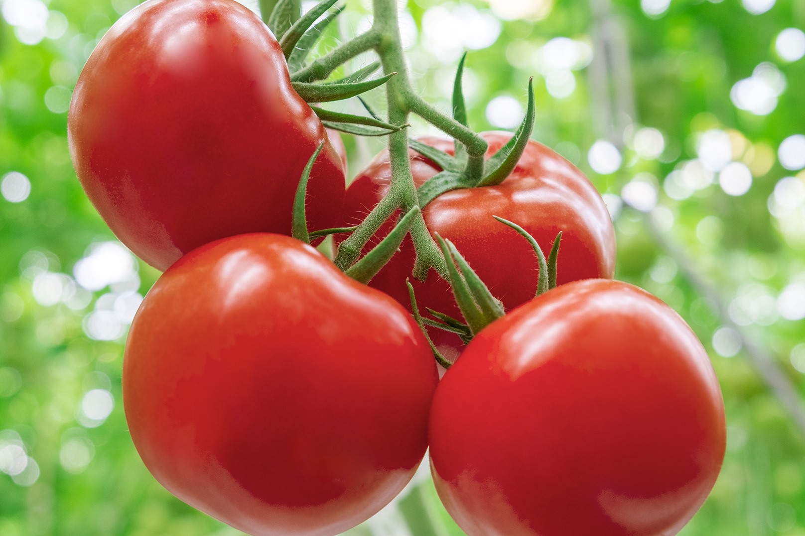 Ảnh Naturefresh