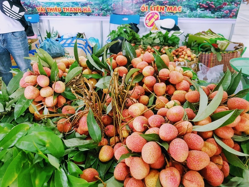 Vải u hồng Thanh Hà. Ảnh: Khánh Vũ