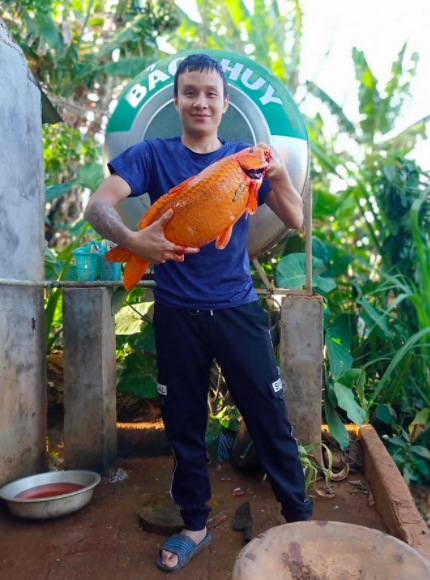 Toàn thân có màu vàng óng, dài chừng 75cm. Ảnh: NVCC