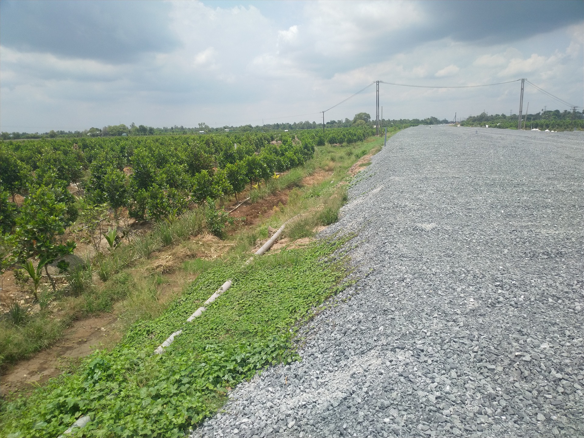 Con đường chạy ngang vùng chuyên canh cây ăn trái huyện Cai Lậy, tỉnh Tiền Giang. Ảnh: K.Q