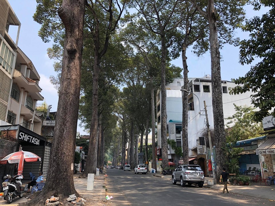 Từ ngày 10.5, đường Sương Nguyệt Anh (quận 1) được tổ chức lại giao thông từ 1 chiều thành 2 chiều cho ôtô về đêm. Ảnh: M.Q Từ ngày 10.5, đường Sương Nguyệt Anh (quận 1) được tổ chức lại giao thông từ 1 chiều thành 2 chiều cho ôtô về đêm. Ảnh: M.Q