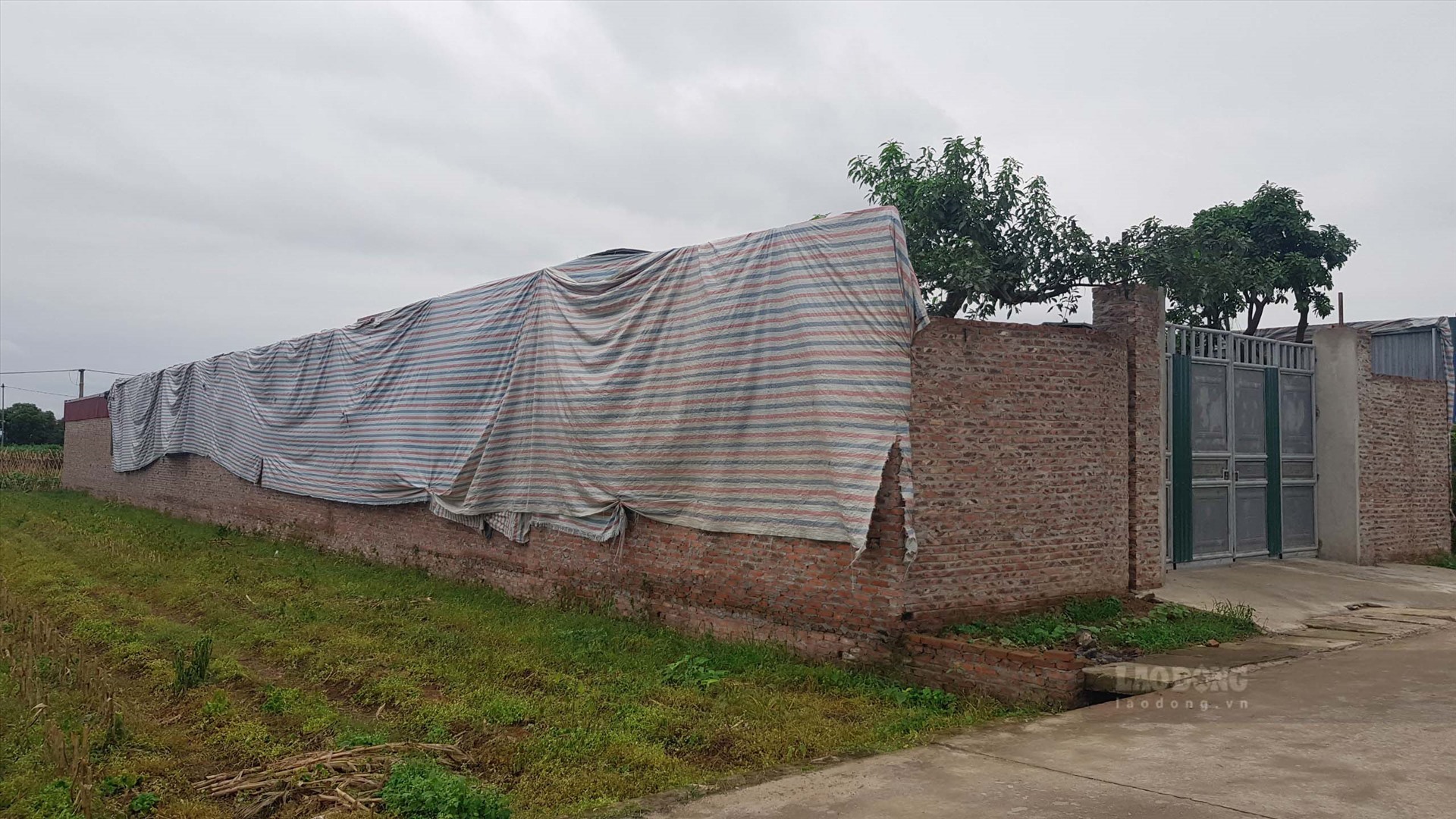 Nhưng thời gian gần đây, có một số đối tượng xây dựng nhà xưởng với quy mô lên đến hàng nghìn m2 để cho thuê. Nhiều đối tượng thậm chí lợi dụng thời gian giãn cách xã hội, các đối tượng càng đẩy nhanh tiến độ xây dựng.