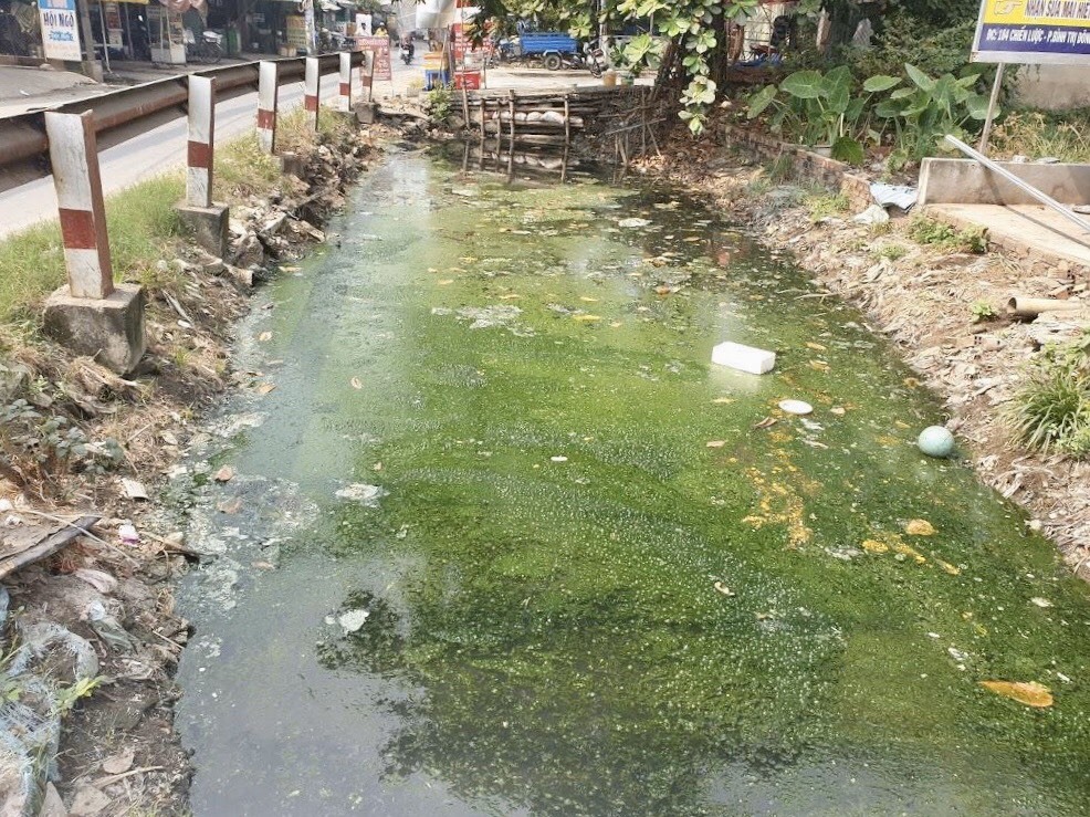 rất nhiều khu vực có nước bị tù đọng lại và đây là môi trường lý tưởng để muỗi sinh sôi, phát triển. Đơn cử như tại nhiều khu biệt thự bỏ hoang, hầm bị ngập nước quanh năm khiến muỗi có nguy cơ bùng phát mạnh.