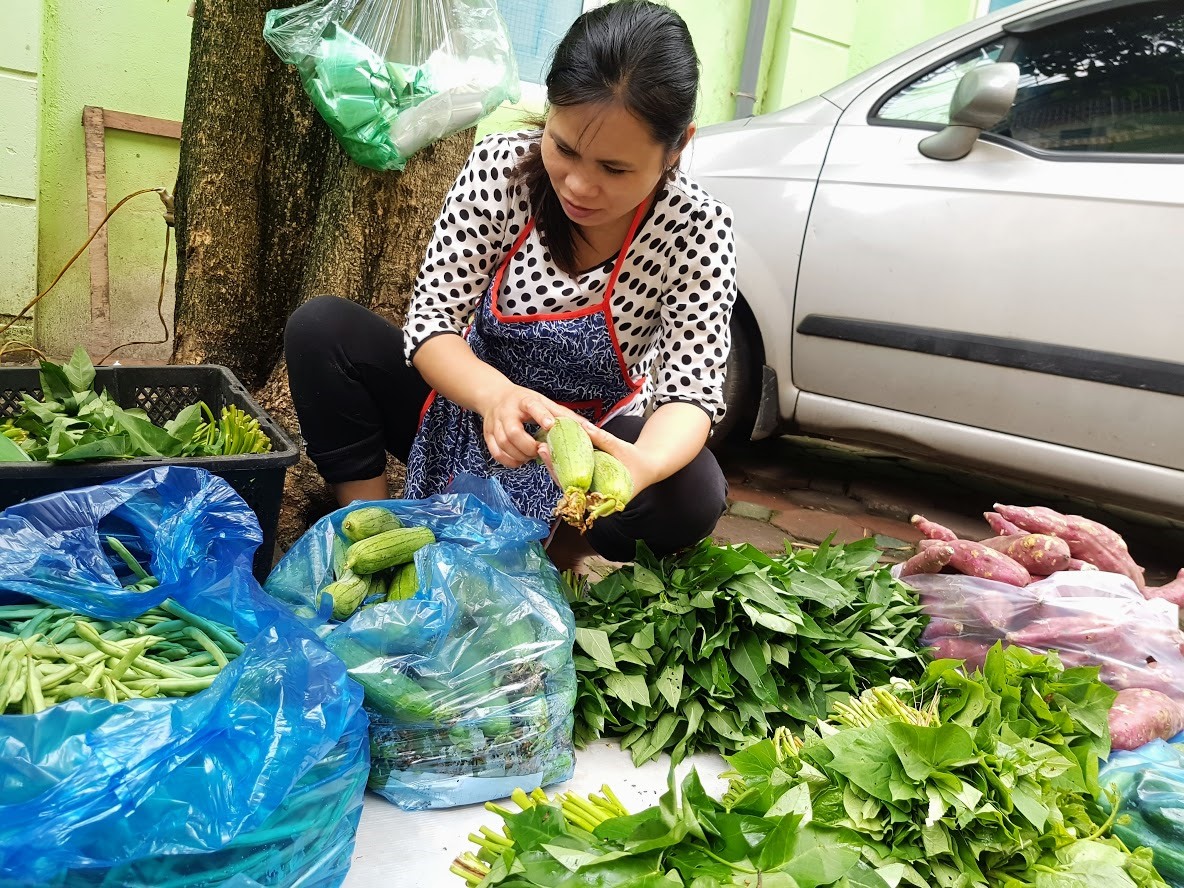Chị Tuyết cho biết, chị mua lặc lè, mướp giá chỉ 3.000 đồng/kg, bán 5.000 đồng/kg là đã có lãi. Ảnh: Khánh Vũ