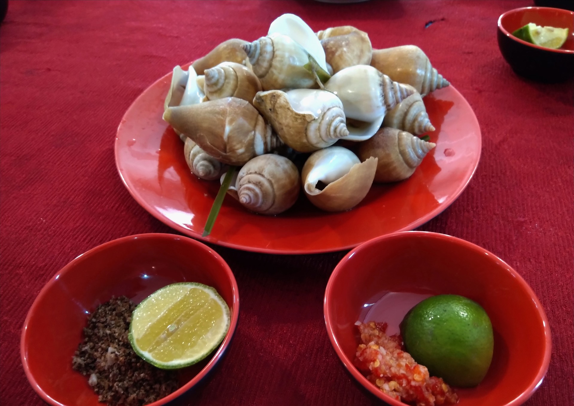 Ốc nhảy- món ăn đặc sản ở Hải Tặc. Ảnh: LT