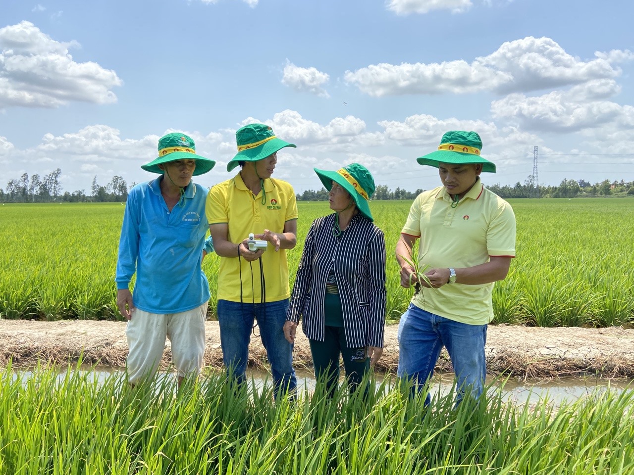 Giúp nông dân tìm lại mùa vàng sau mùa hạn, mặn