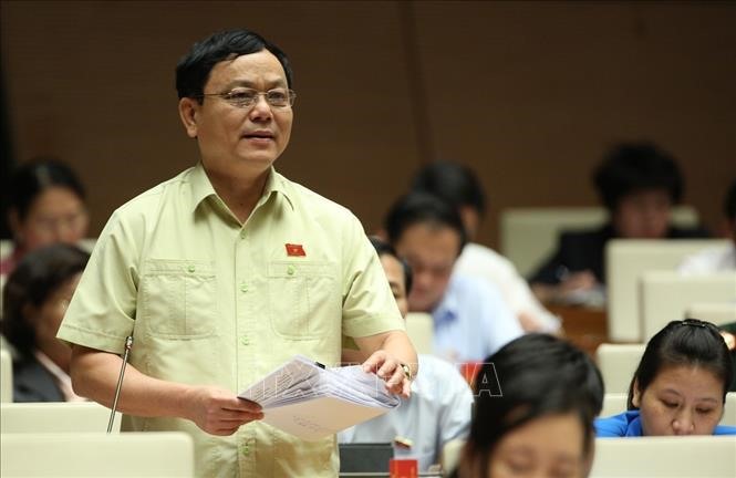 Đại biểu Hoàng Đức Thắng (Quảng Trị). Ảnh TTXVN.