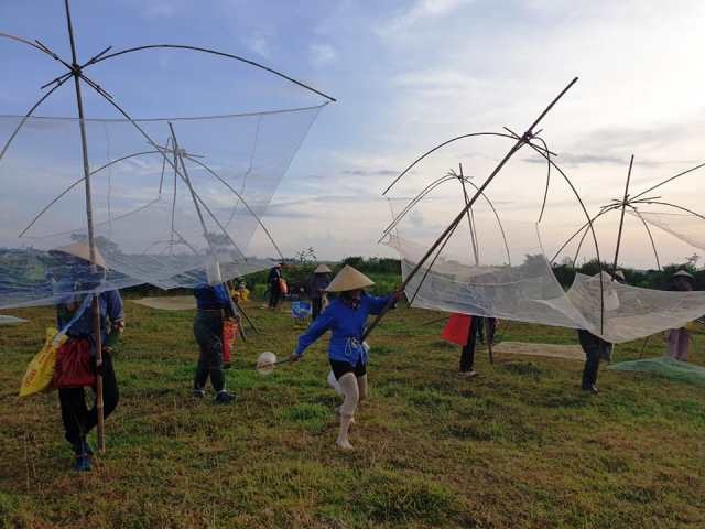 Vó cũng là đồ nghề dùng bắt cá hiệu quả