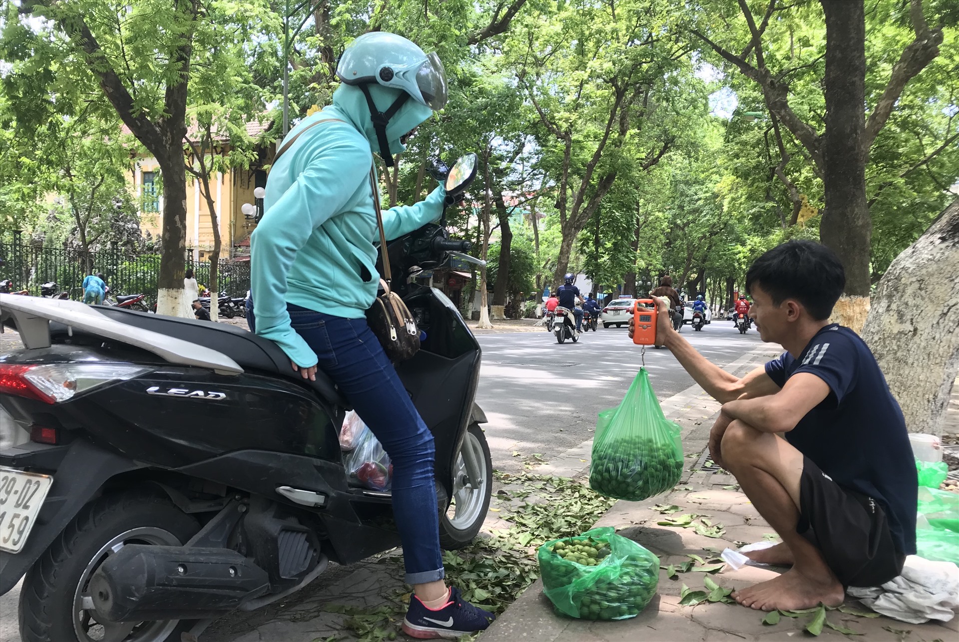 Sấu có hương vị thơm ngon nên được nhiều người ưa thích. Ảnh: T.Hoài