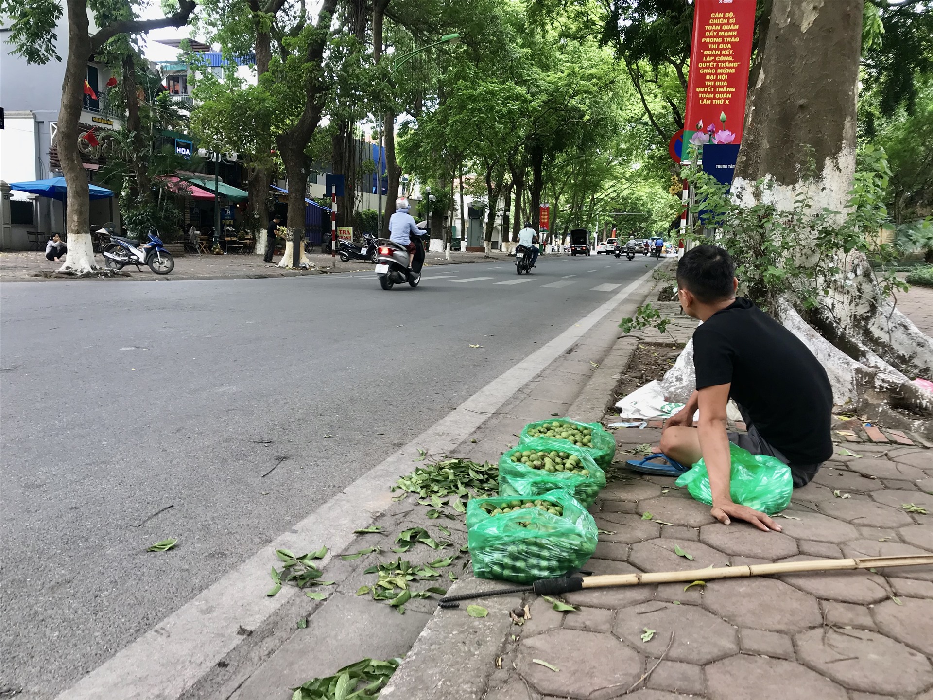 Dụng cụ không thể thiếu dùng để lấy sấu của anh Liêm đơn sơ và thon gọn.