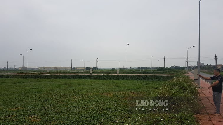 Một lô đất trúng thầu của vợ chồng Đường Dương. Ảnh Việt Dũng