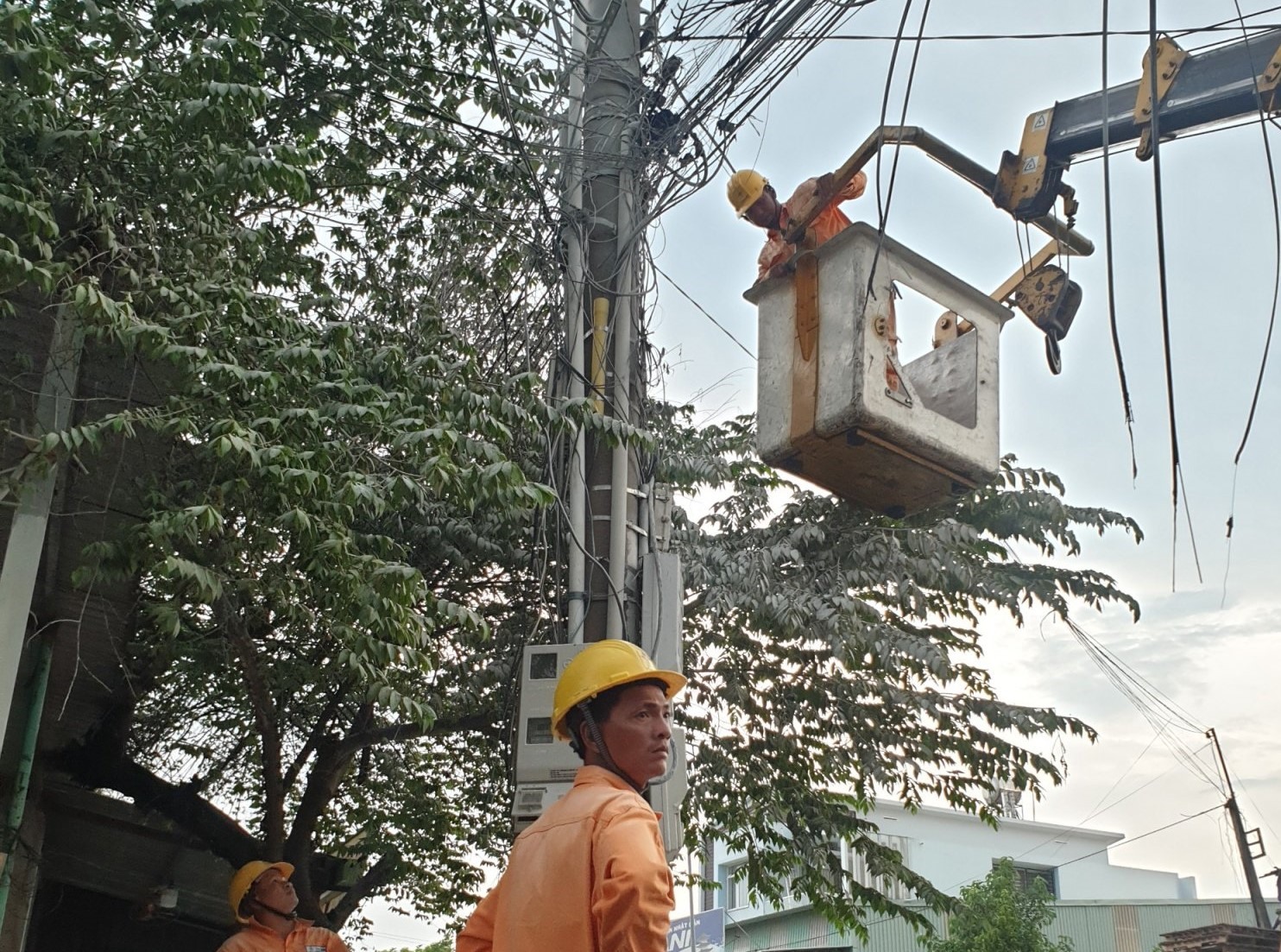 Đơn vị quản lý đường điện có mặt xử lý vụ việc. Ảnh: Dương Bình