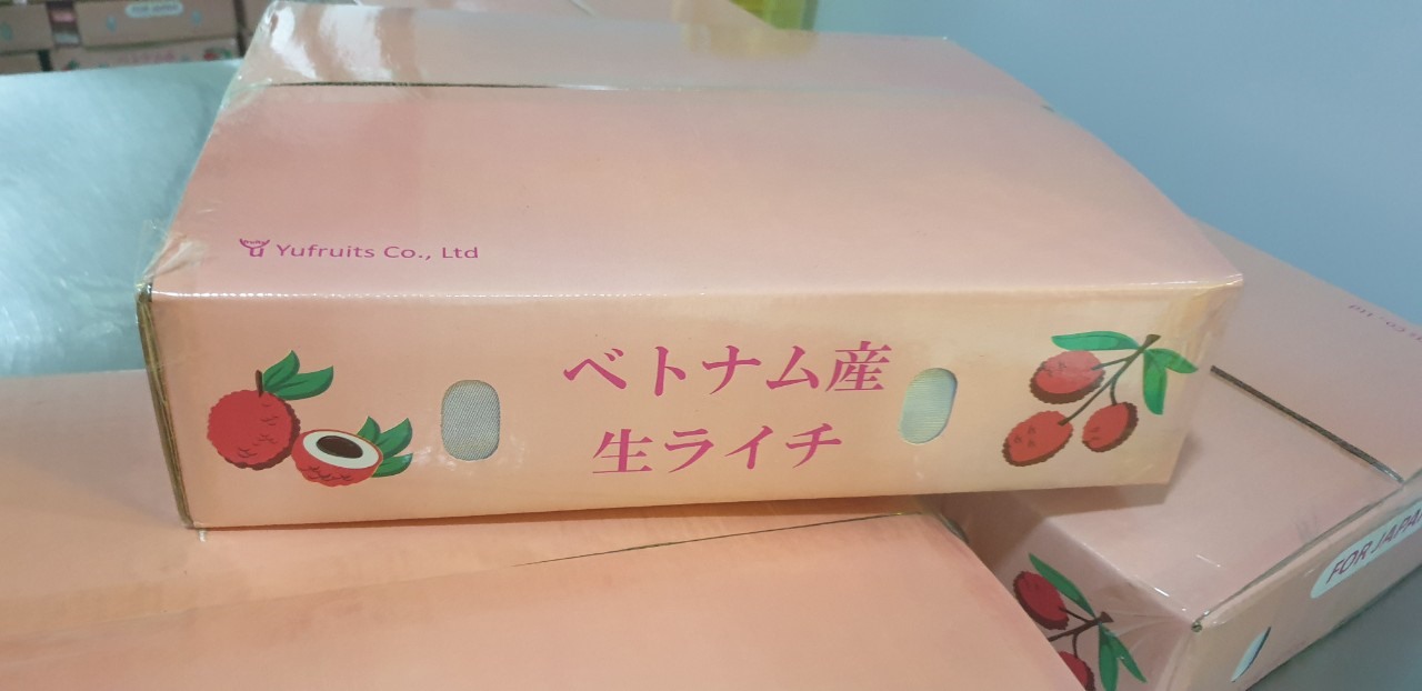 HÌnh ảnh bao gói của vải thiều để xuất khẩu sang Nhật Bản. Ảnh: Hồng Quang