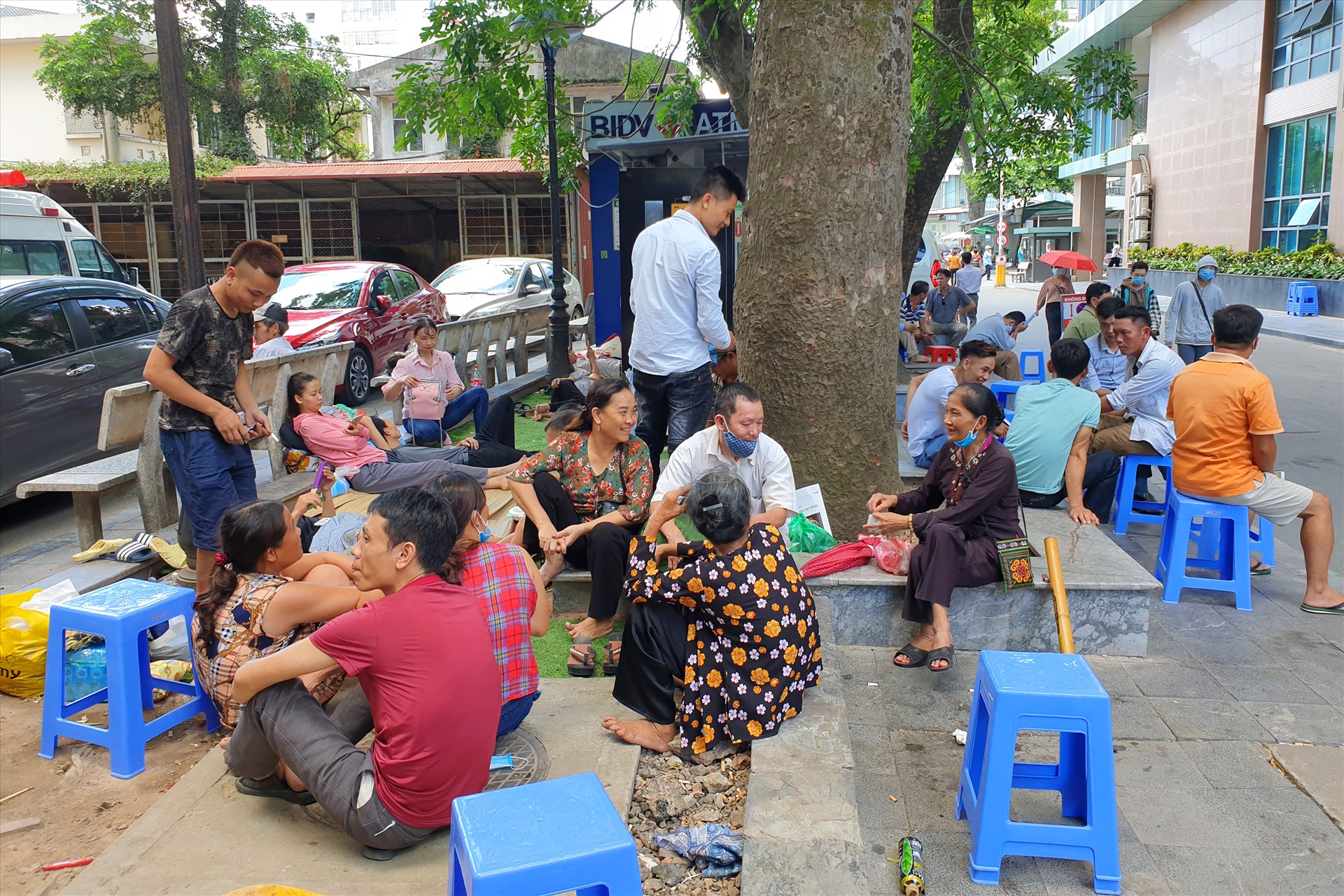 Ảnh Hồng Lan