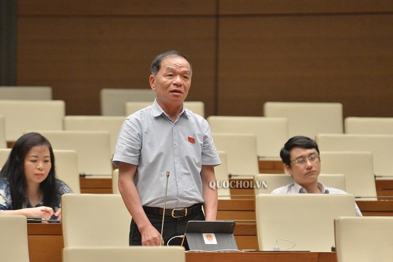 ĐBQH Lê Thanh Vân (Đoàn Cà Mau) - Uỷ viên Thường trực Uỷ ban Tài chính Ngân sách của Quốc hội. Ảnh Quochoi.vn