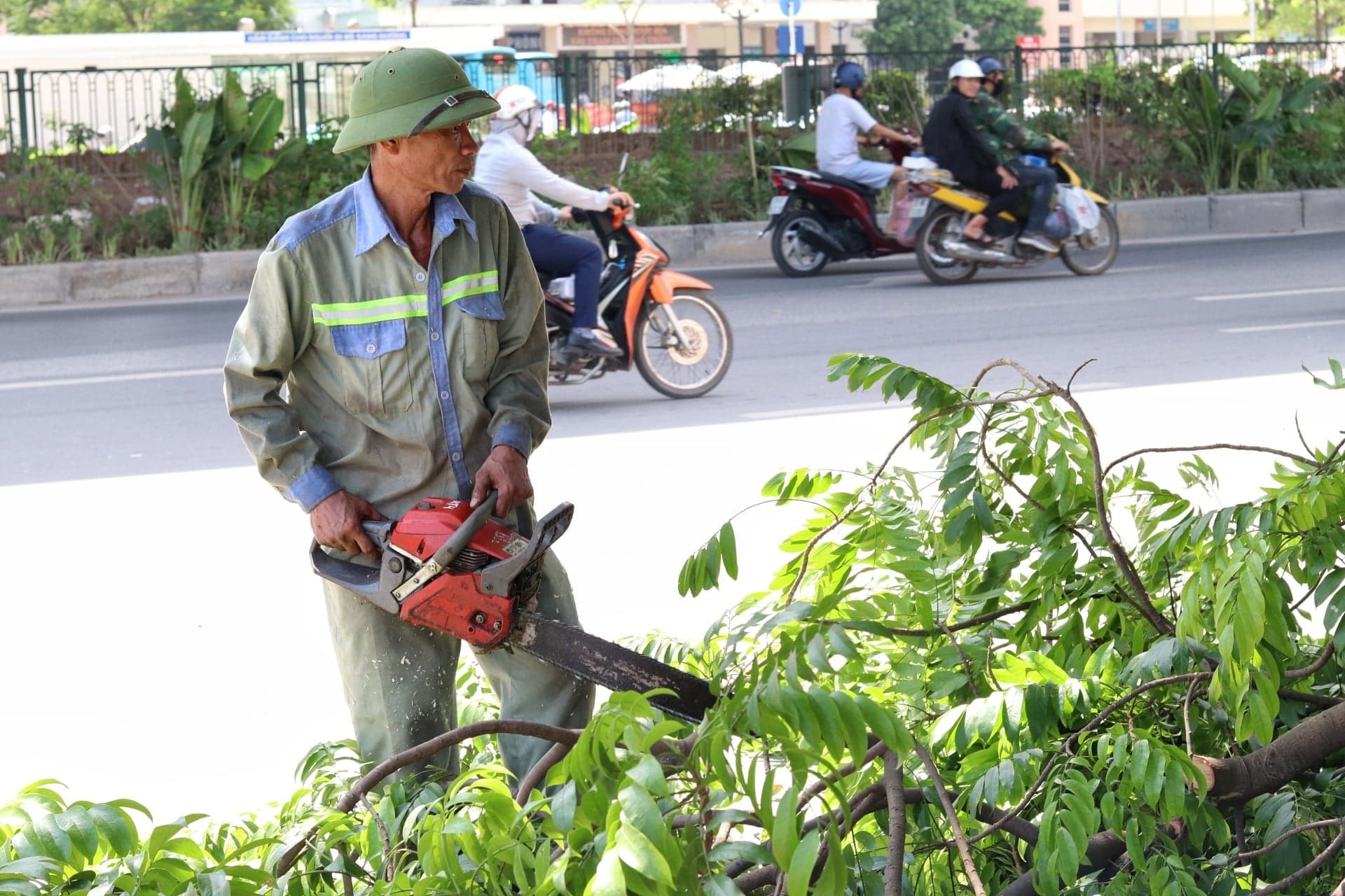 Các cành cây sau khi thu gom sẽ được đội chuyên trách chở về tập kết và xử lý ở bãi Yên Sở.