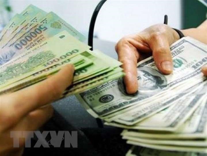 Ảnh minh họa: TTXVN
