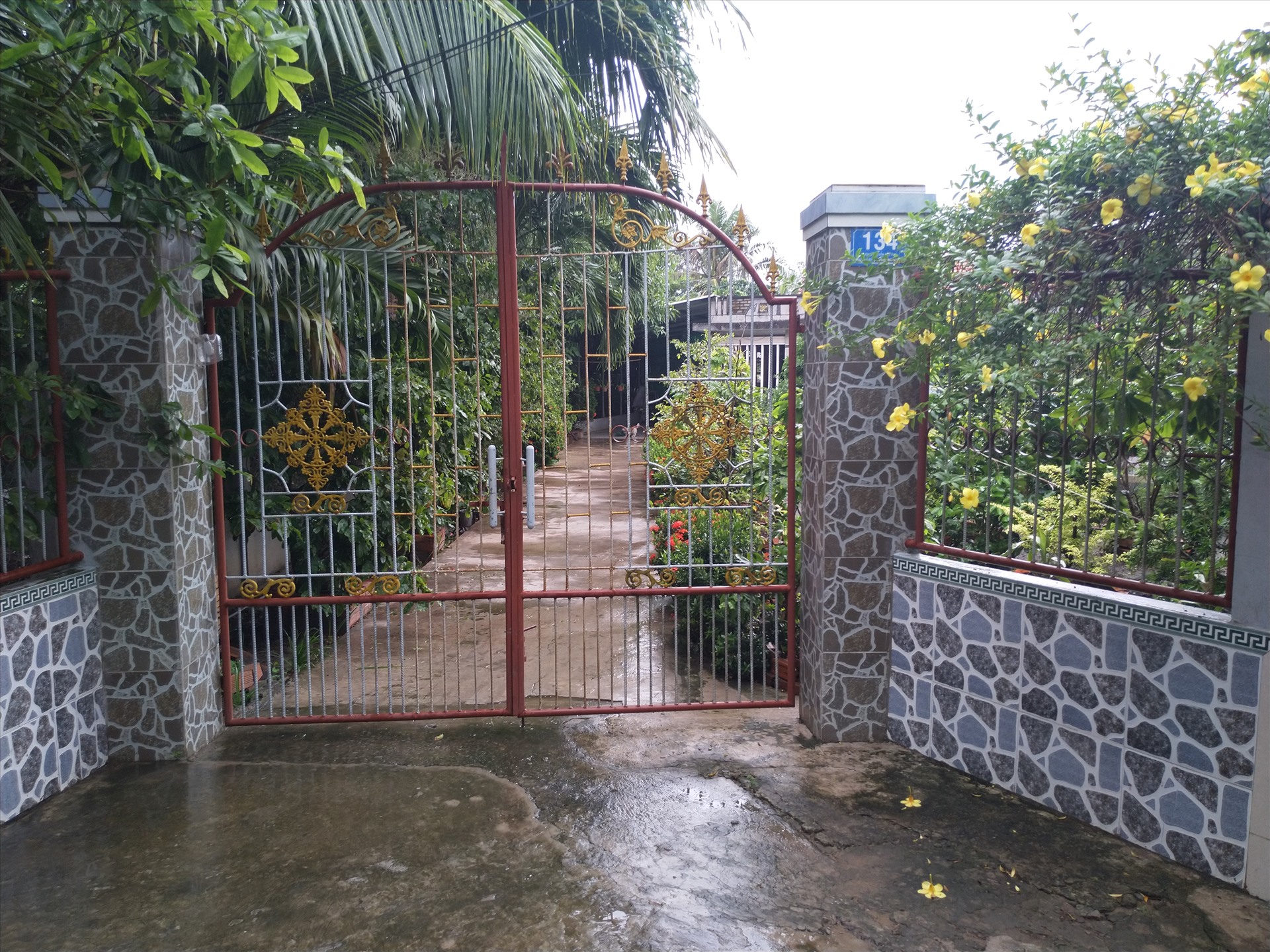 Từ cổng nhà bà Tòng vào đến nhà khá xa nên nhân viên ghi chỉ số điện không liên lạc được với bà. Ảnh: K.Q