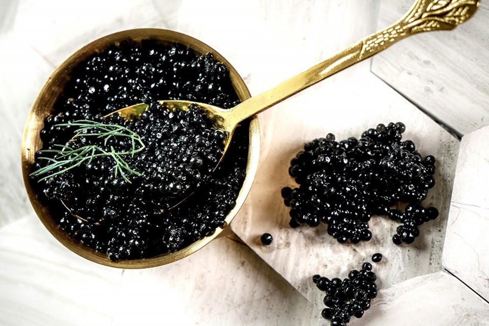 Trứng cá muối Caviar, “ngọc trai đen” từ biển cả Trứng cá muối Caviar, “ngọc trai đen” từ biển cả