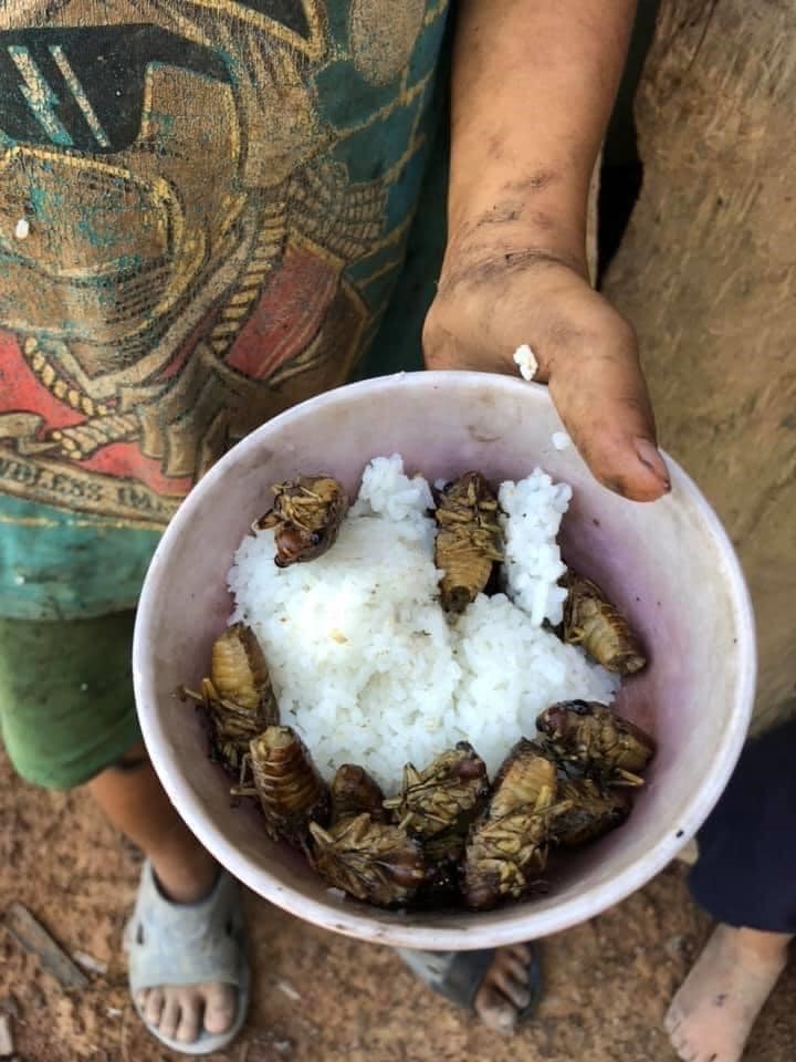 Bữa cơm sáng ăn kèm với ve sầu của trẻ em thôn 12, xã Vụ Bổn, huyện Krông Pắc, Đắk Lắk. Ảnh: Bùi Thuyên Phong